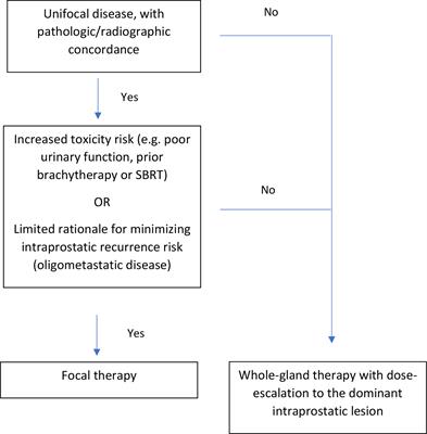 Risk-adaptive paradigm for focal versus whole-gland salvage treatment for radio-recurrent prostate cancer